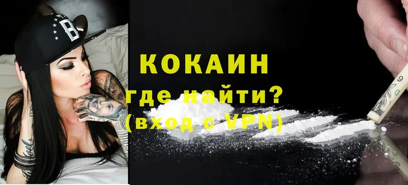 купить закладку  Дальнегорск  Кокаин FishScale 